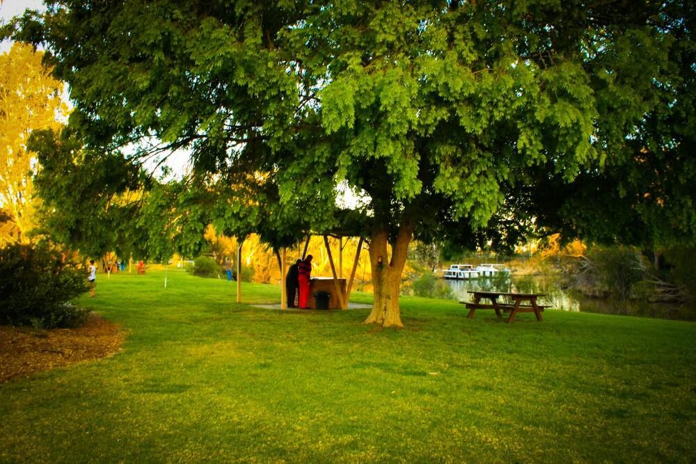 Cadell On The Murray Motel Moama Ngoại thất bức ảnh